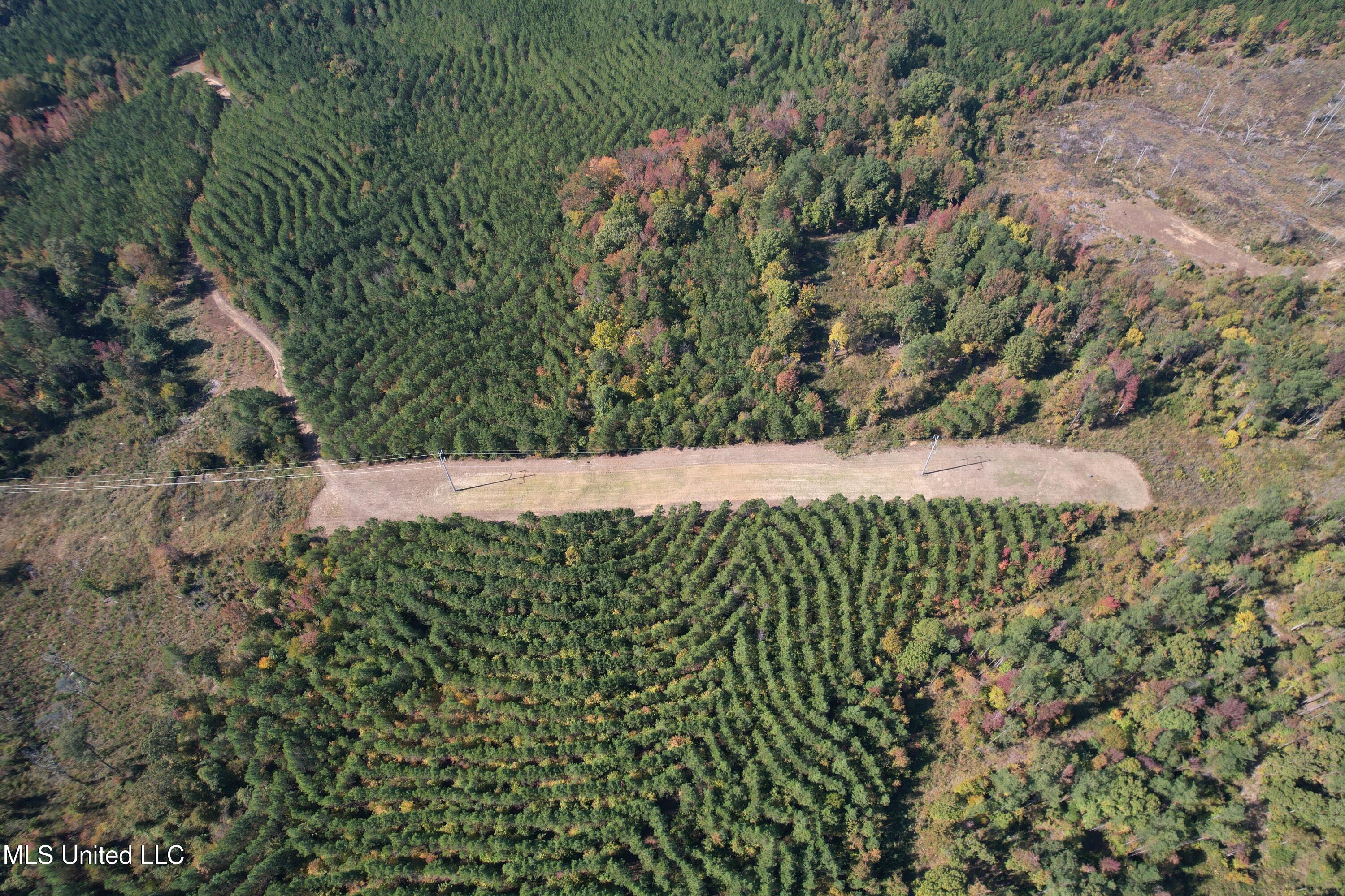 Ms-32 Water Valley, MS 38965 - Photo 3 of 21 Photo Oct 23 2024, 12 06 00 PM AVOID 281