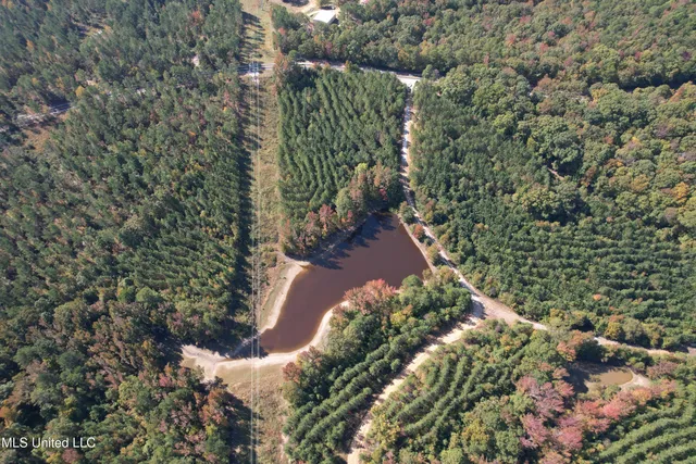 $815,871 | Ms-32, Water Valley, MS 38965