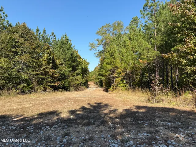 $815,871 | Ms-32, Water Valley, MS 38965