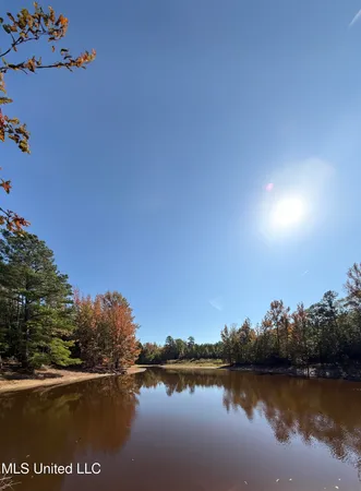 $815,871 | Ms-32, Water Valley, MS 38965