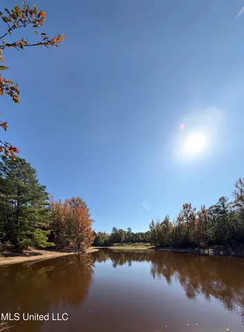 $815,871 | Ms-32, Water Valley, MS 38965