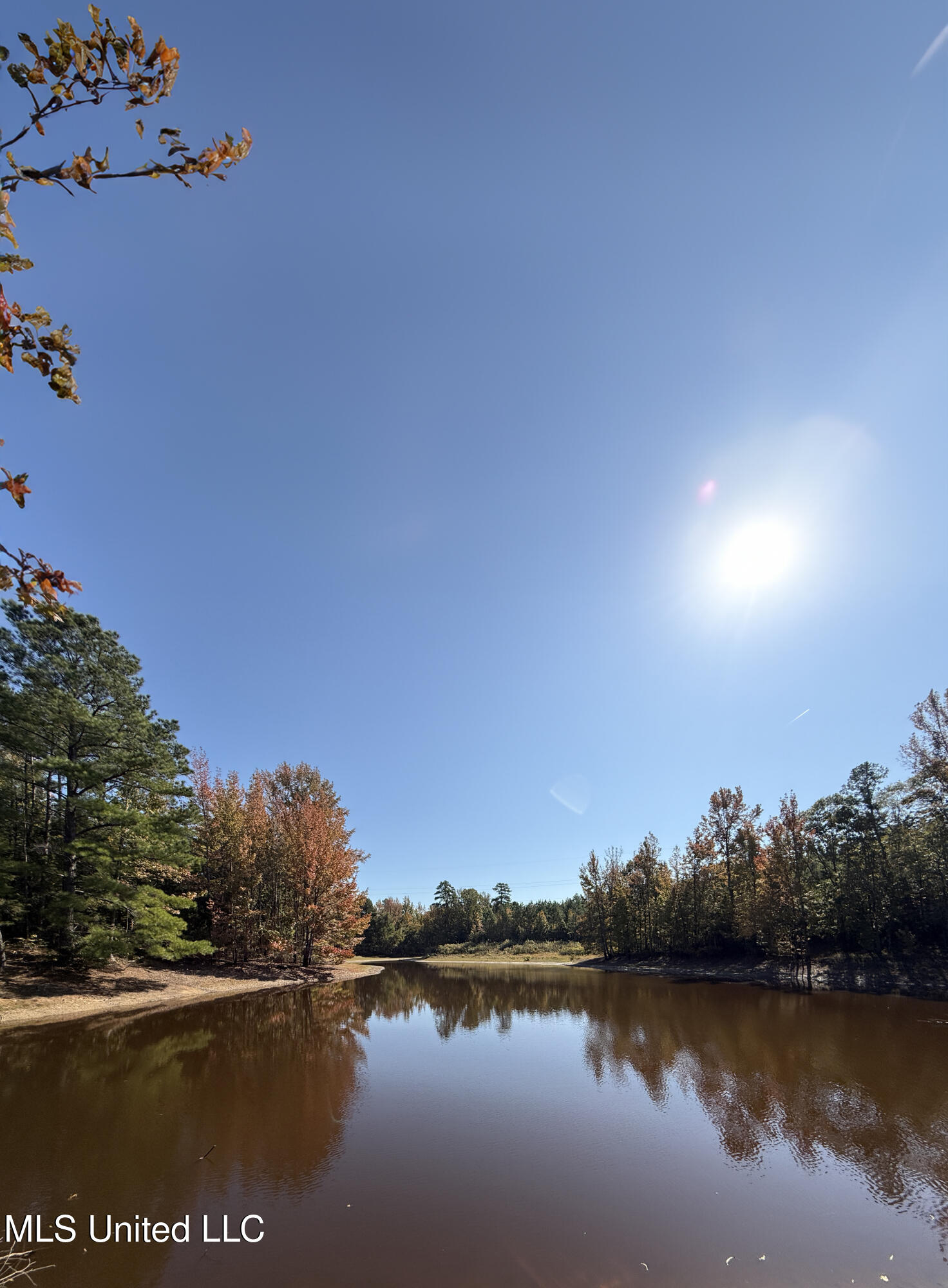 Ms-32 Water Valley, MS 38965 - Photo 9 of 21 Page 2 pic