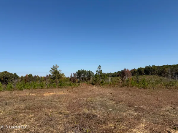 $815,871 | Ms-32, Water Valley, MS 38965