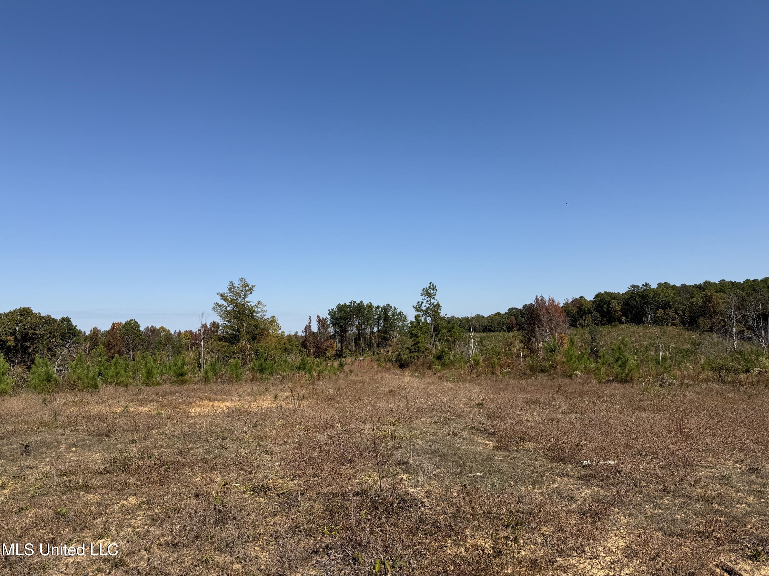 Ms-32 Water Valley, MS 38965 - Photo 10 of 21 Photo Oct 23 2024, 12 16 38 PM AVOID 281