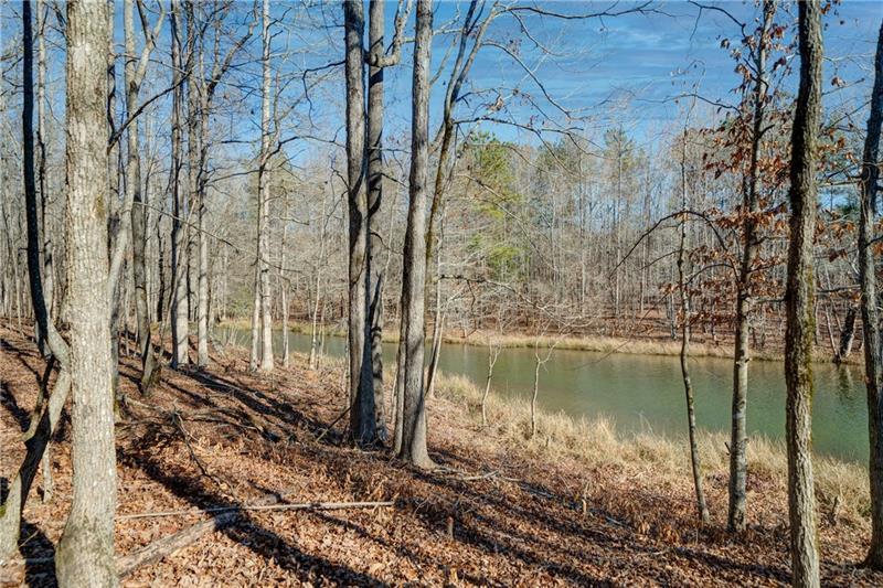 689 Moccasin Gap Road Jackson, GA 30233 - Photo 9 of 10 Gallery Image 9