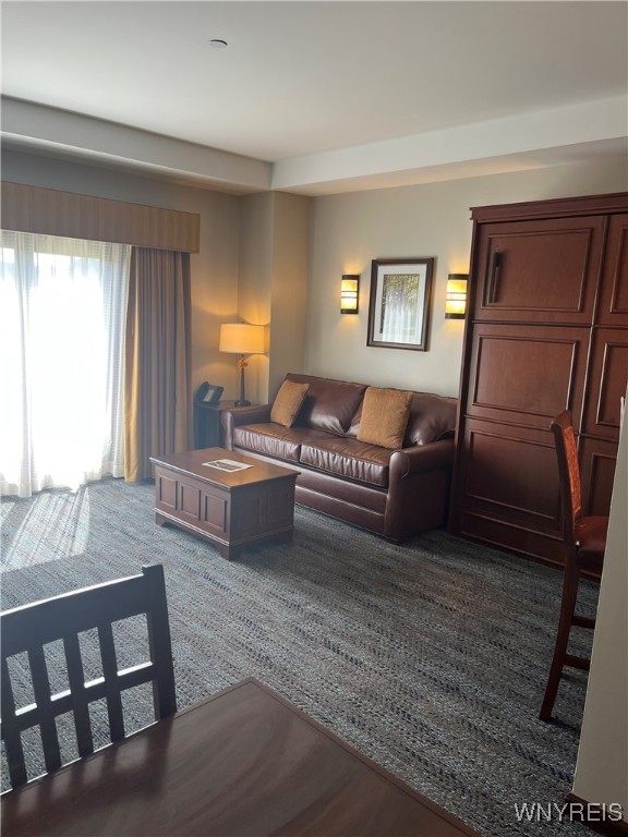 6447 Holiday Valley Road, Unit 301/3033 Ellicottville, NY 14731 - Photo 6 of 12