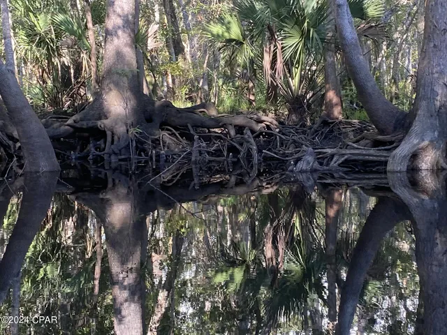 $359,900 | 199 North Duck Avenue, Wewahitchka, FL 32465