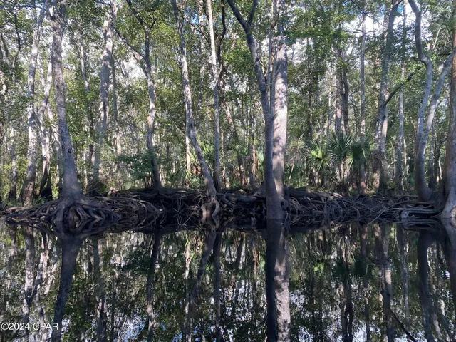 $359,900 | 199 North Duck Avenue, Wewahitchka, FL 32465