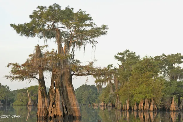 $359,900 | 199 North Duck Avenue, Wewahitchka, FL 32465