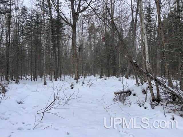 Tbd Rabbit Bay Road Lake Linden, MI 49945 - Photo 21 of 40 Gallery Image 21