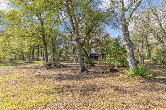 a view of outdoor space with trees