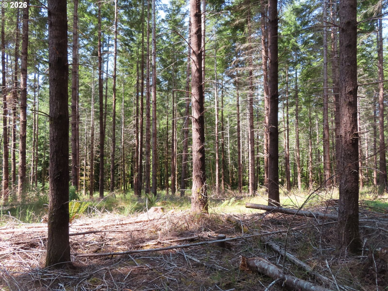 Chandler Road Chehalis, WA 98532 - Photo 15 of 22 Gallery Image 15