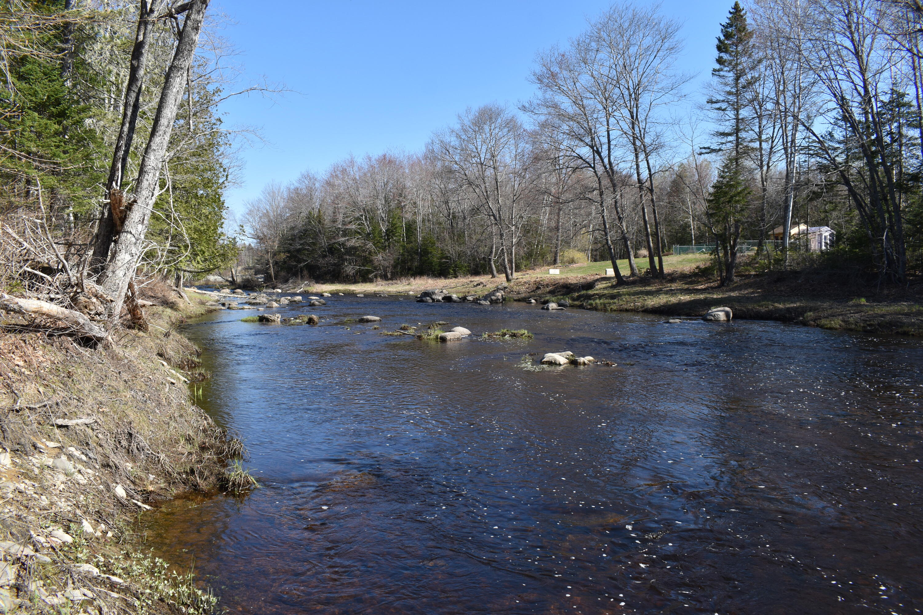 15 Loop Road Lincoln, ME 04457 - Photo 50 of 51 DSC_0138