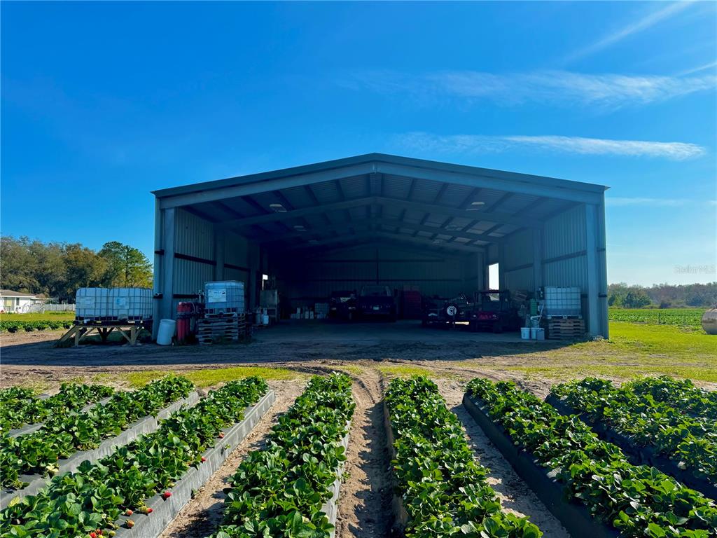 4311 Shepherd Road Plant City, FL 33565 - Photo 12 of 16 Gallery Image 12