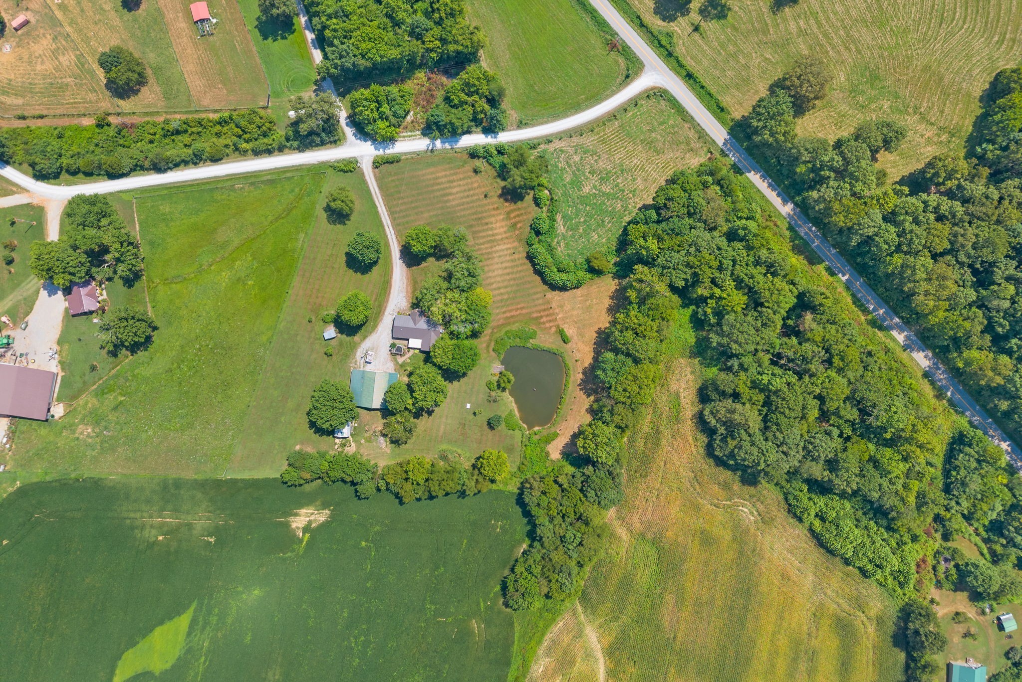 3680 Zentmyer Road Crofton, KY 42217 - Photo 41 of 43 a view of a garden