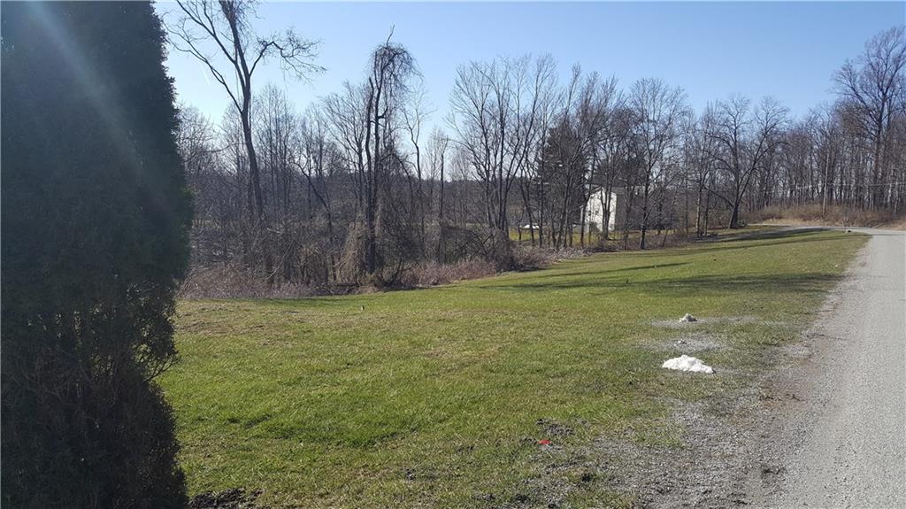 493 Pleasant View Smock Road Smock, PA 15480 - Photo 22 of 24 side yard