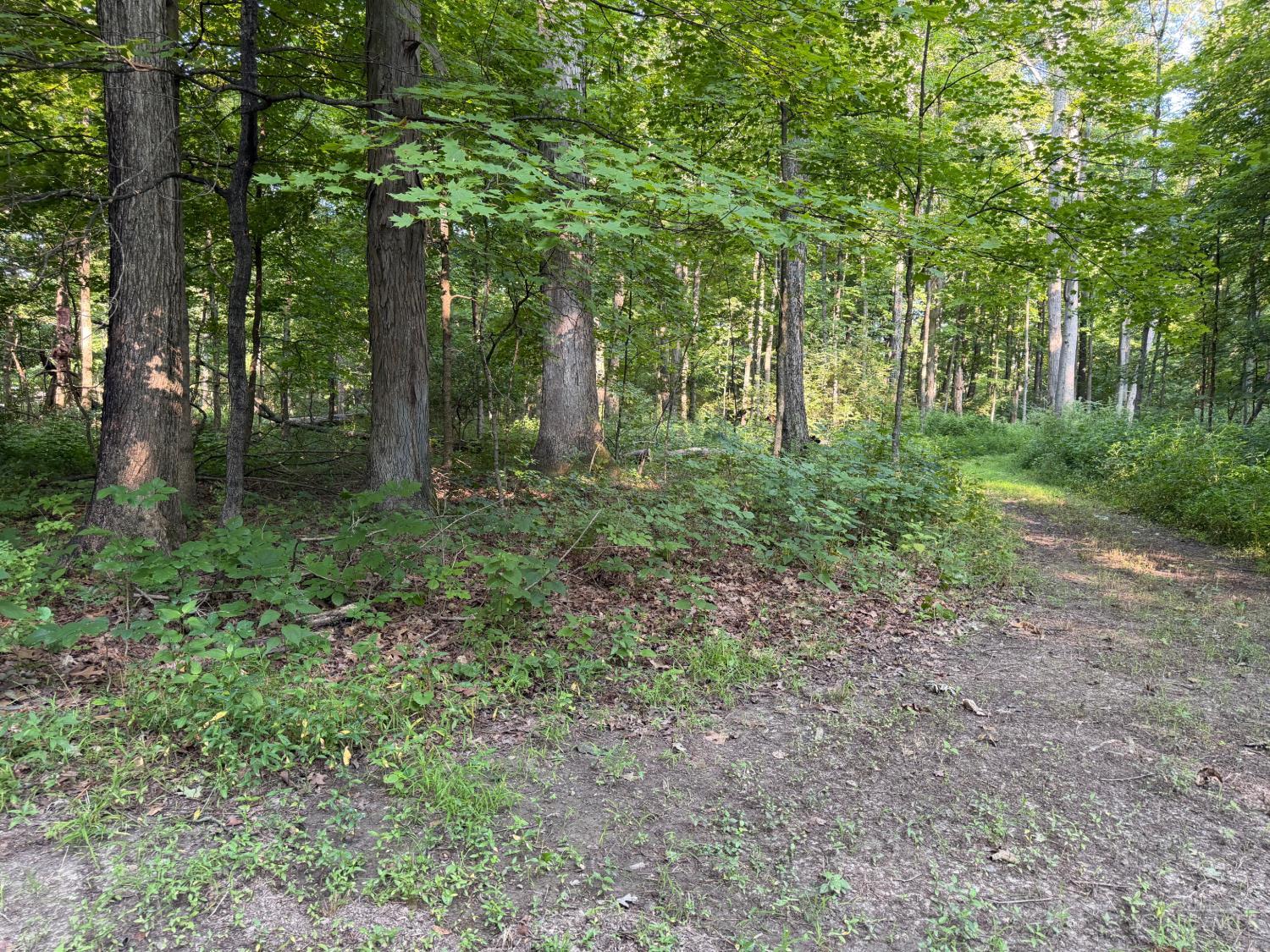 Ac West Hatt-Swank Road Loveland, OH 45140 - Photo 7 of 23 Gallery Image 7
