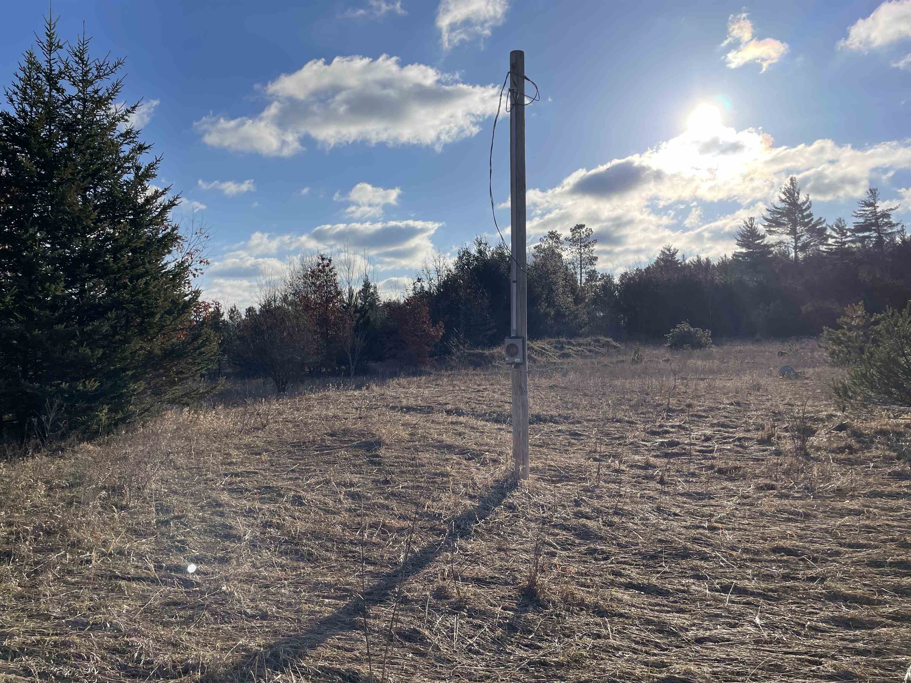 0 East No 10 1/2 Road Manton, MI 49663 - Photo 5 of 9