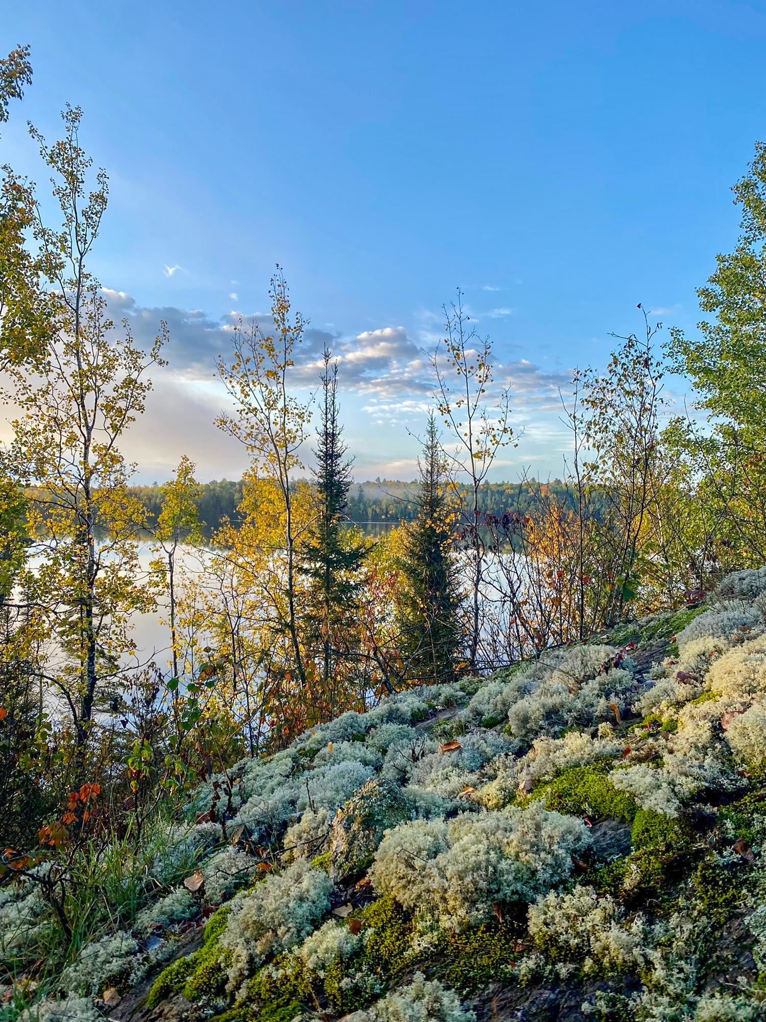 3168 Wolf Lake Road Ely, MN 55731 - Photo 5 of 25