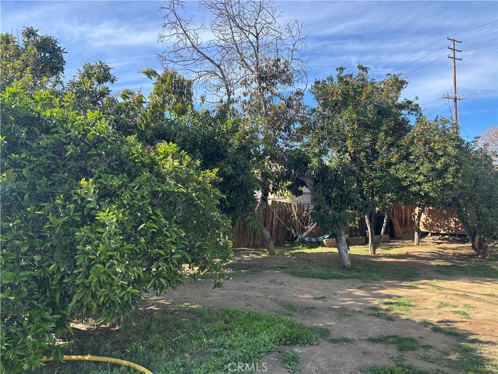 242 East M Street Colton, CA 92324 - Photo 4 of 19 a view of a tree in a yard