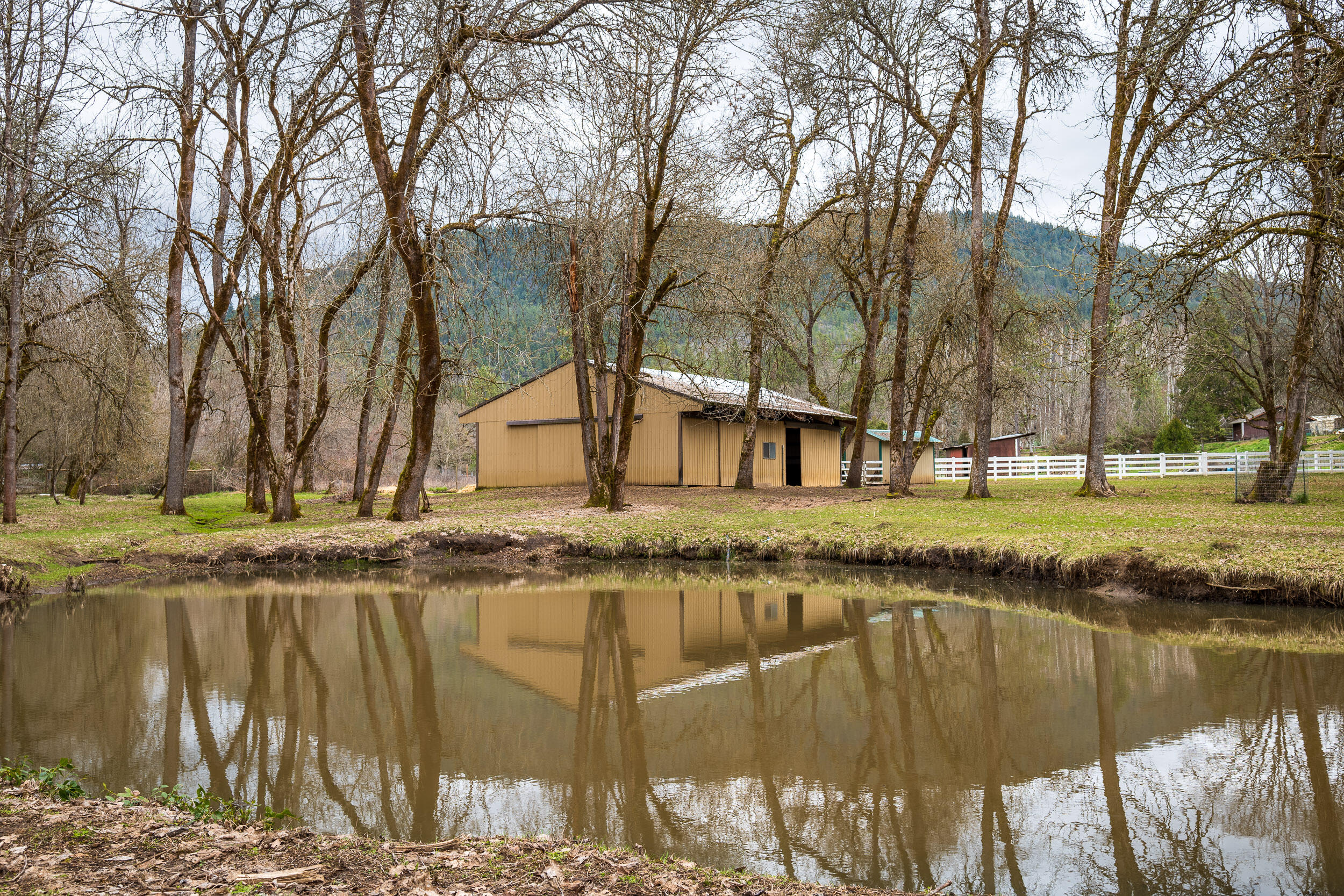 5980 Donaldson Road Grants Pass, OR 97526 - Photo 41 of 48 5980DonaldsonRd-045
