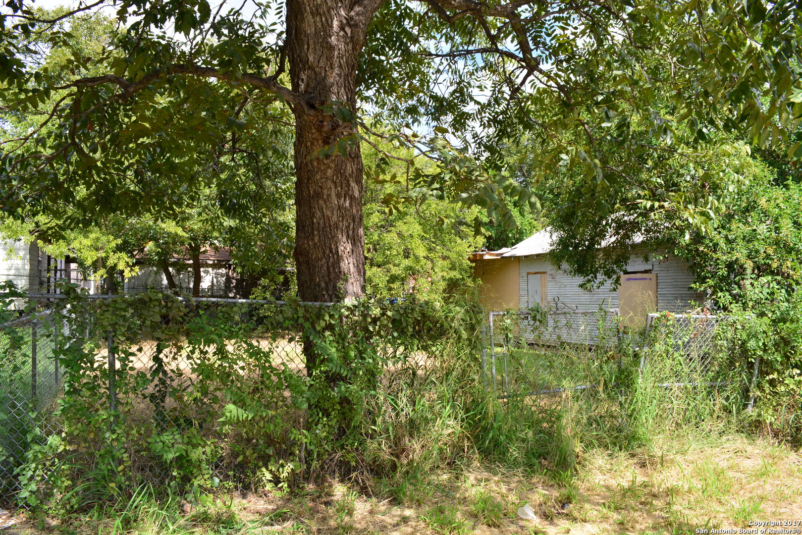 113 Rounds Street San Antonio, TX 78207 - Photo 2 of 4 a view of a house with a tree