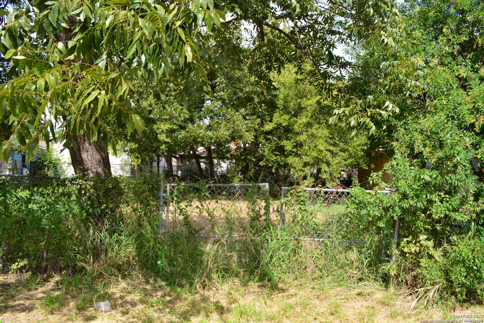 113 Rounds Street San Antonio, TX 78207 - Photo 4 of 4 a view of a lake in a forest
