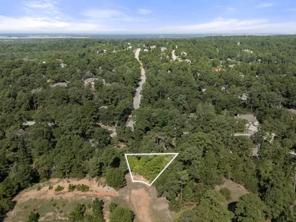 an aerial view of residential houses with outdoor space and trees