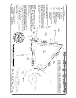 a view of a forest with a tree