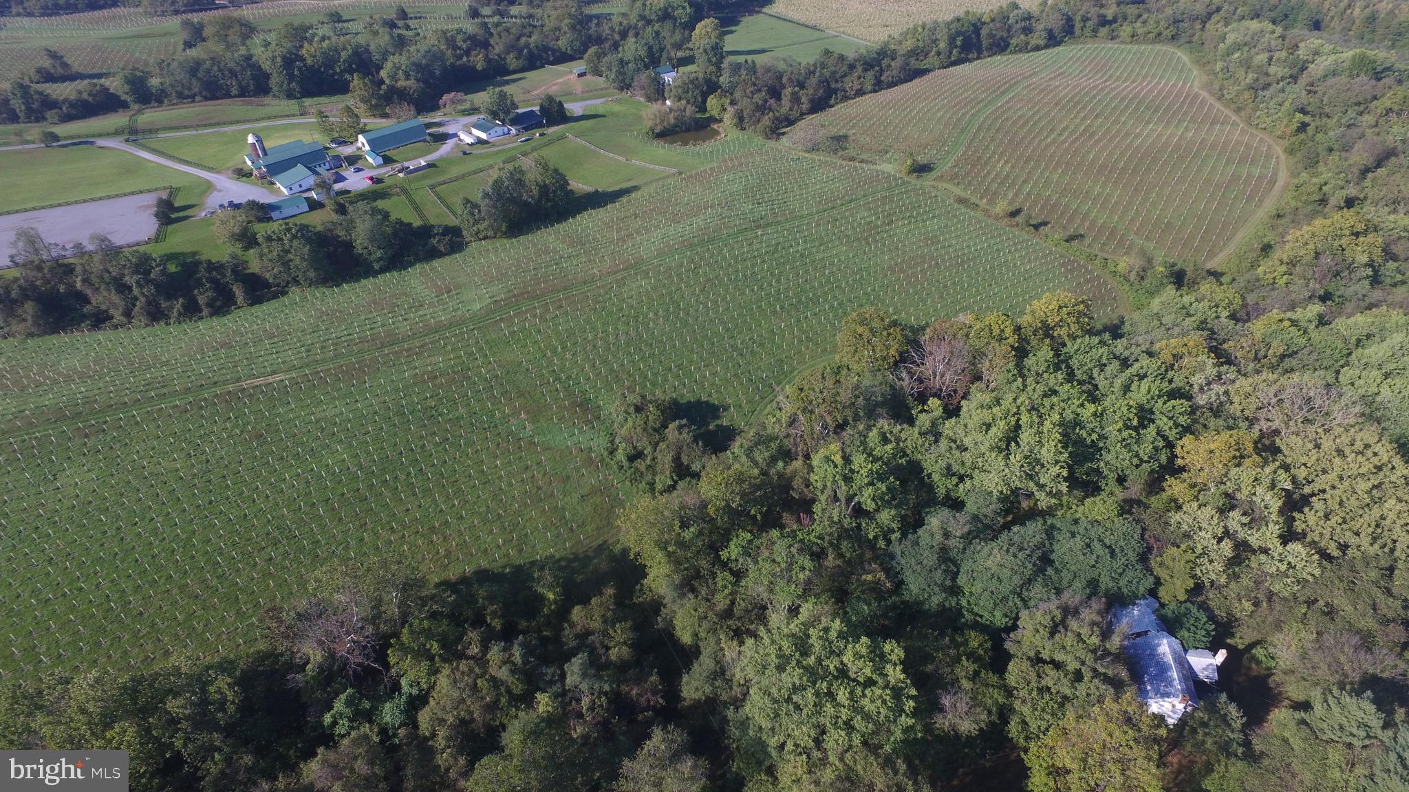 6753 Dickerson Road Dickerson, MD 20842 - Photo 43 of 49 Adjoined by conservation forest