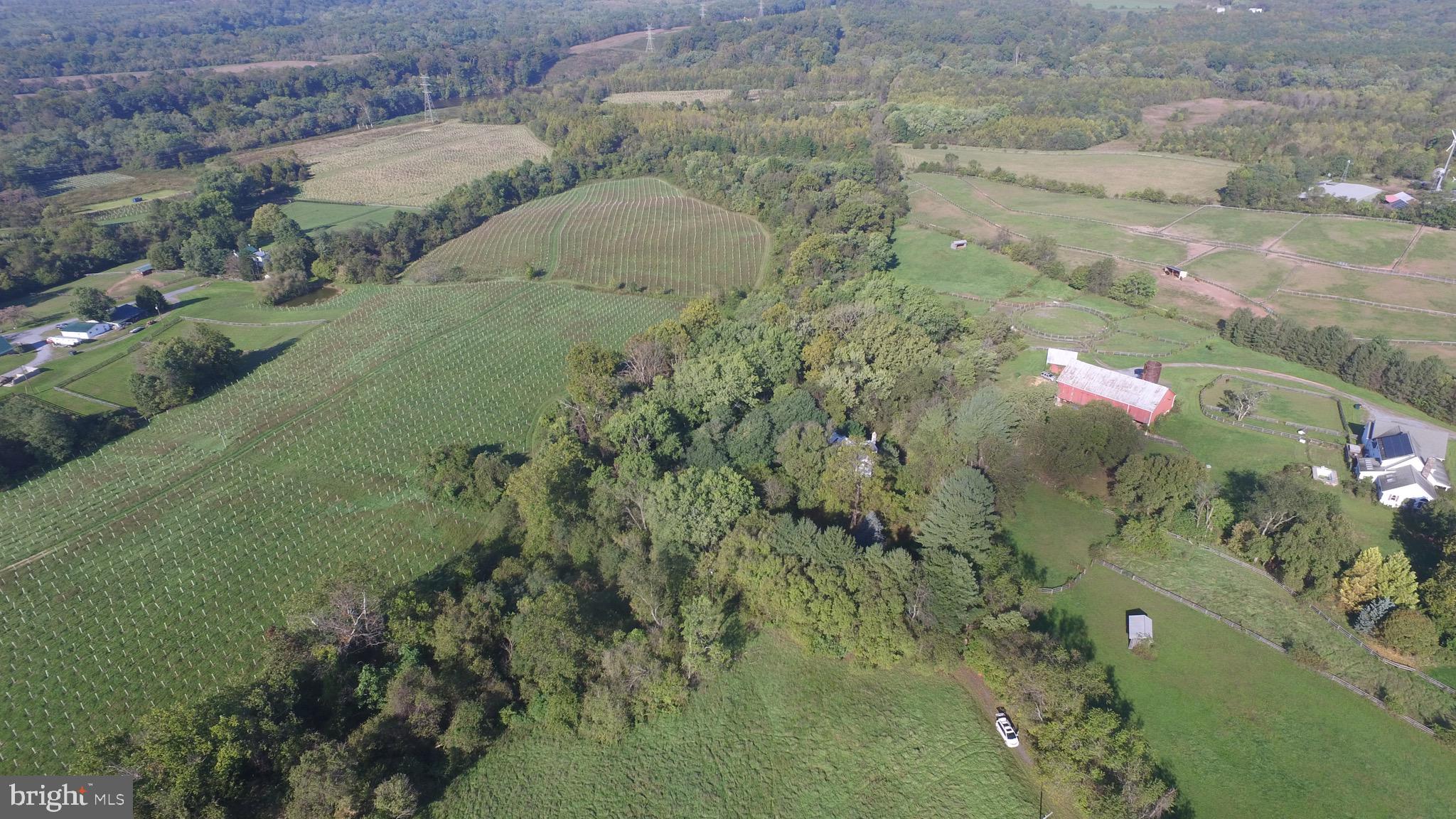 6753 Dickerson Road Dickerson, MD 20842 - Photo 45 of 49 Paradise