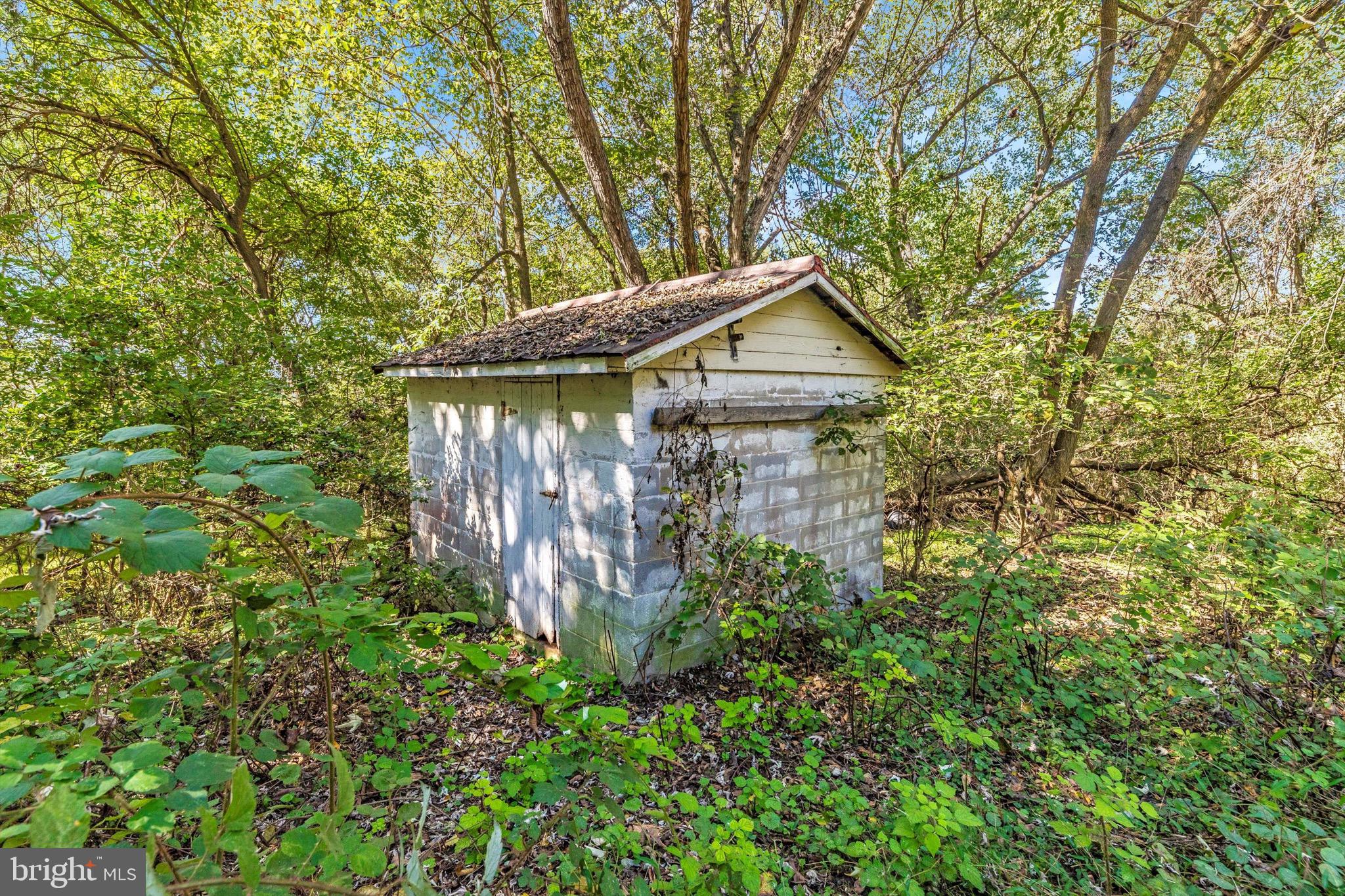 6753 Dickerson Road Dickerson, MD 20842 - Photo 7 of 49 Storage shed