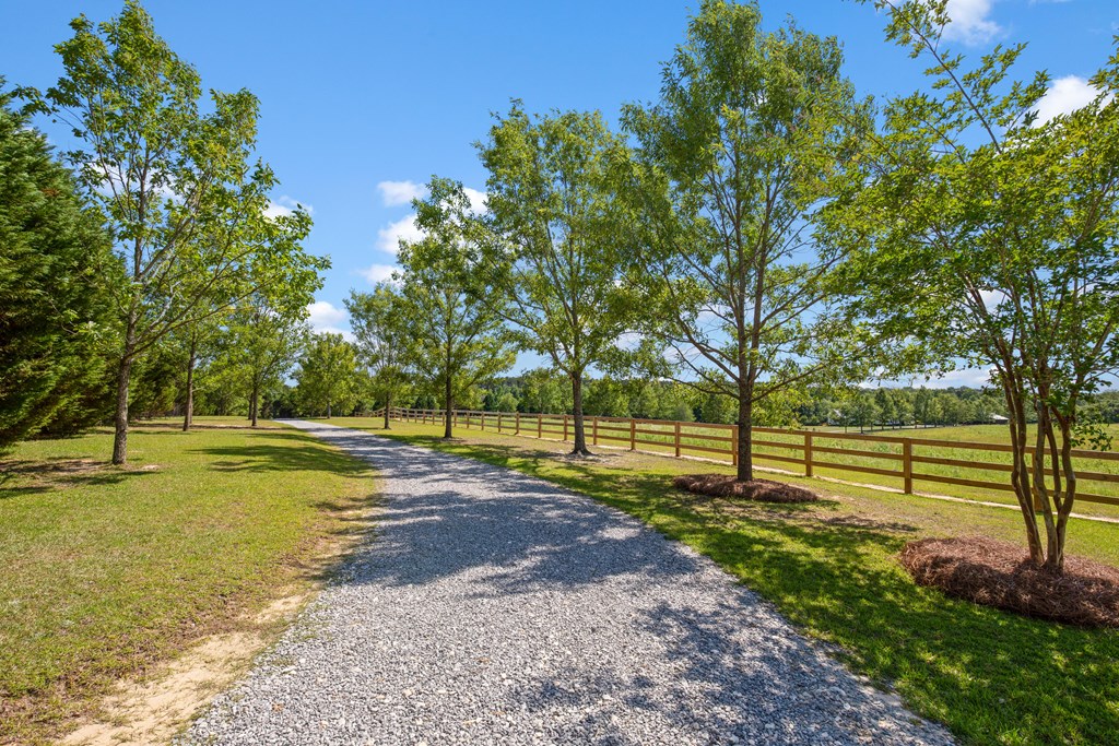 431 Johnny Murphy Road Dothan, AL 36301 - Photo 45 of 46