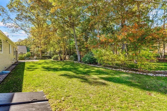 a view of yard with green space