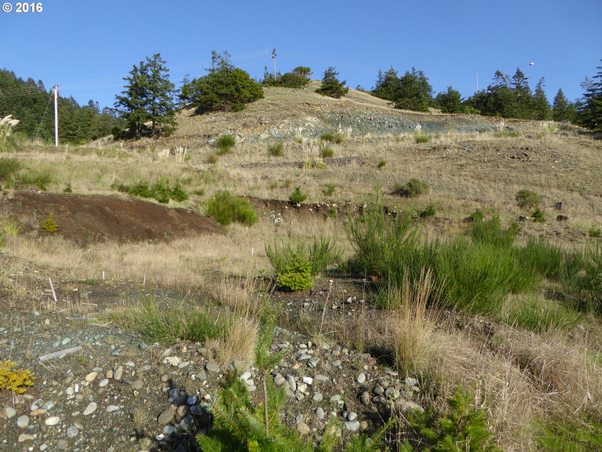 Hume Road, Unit 11 Gold Beach, OR 97444 - Photo 9 of 26 Gallery Image 9