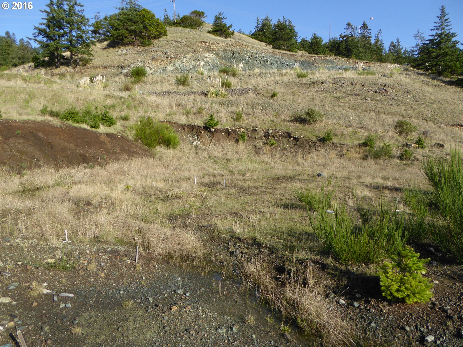 Hume Road, Unit 11 Gold Beach, OR 97444 - Photo 10 of 26 Gallery Image 10