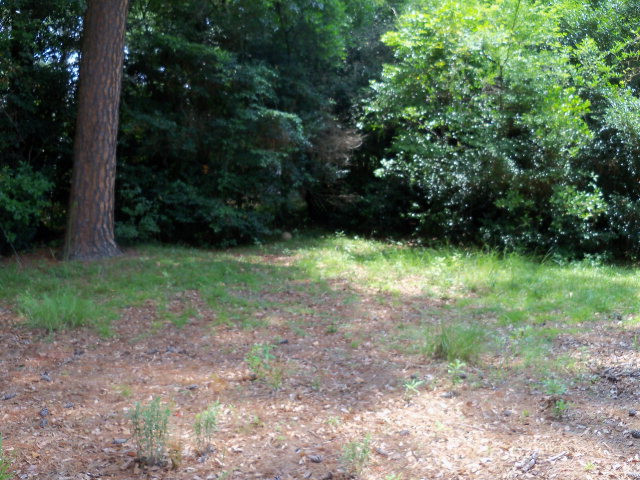 440 Banks Mill Road Aiken, SC 29801 - Photo 11 of 11