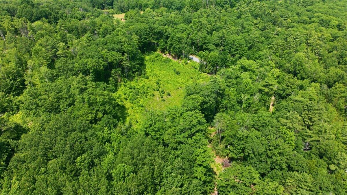 273 Wiley Road Greene, ME 04236 - Photo 11 of 21 Aerial View