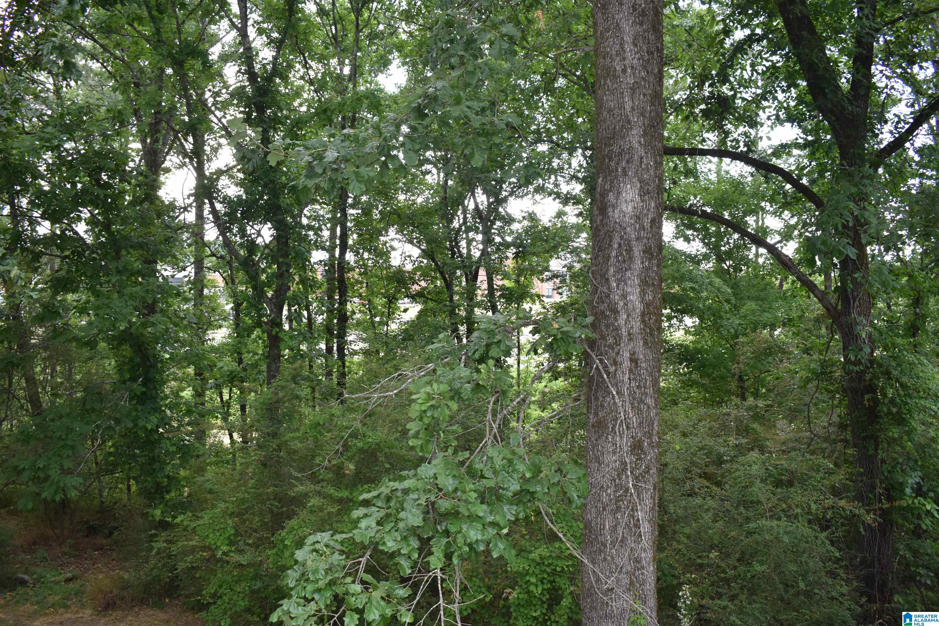 1626 Caribbean Circle Alabaster, AL 35007 - Photo 36 of 38