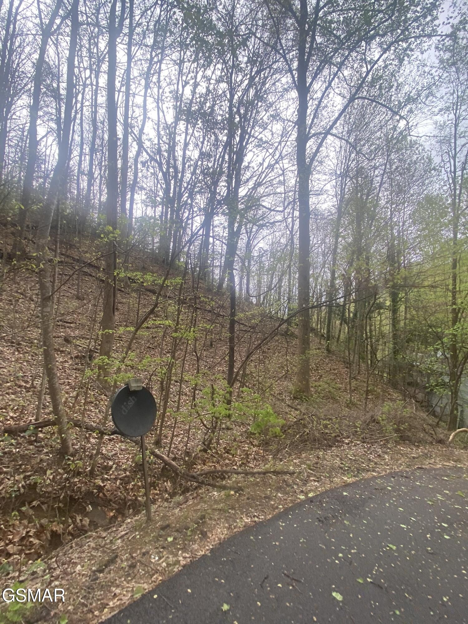 2744 Black Walnut Flats Road Sevierville, TN 37862 - Photo 38 of 49 Gallery Image 38