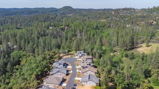 a view of a city with lush green forest