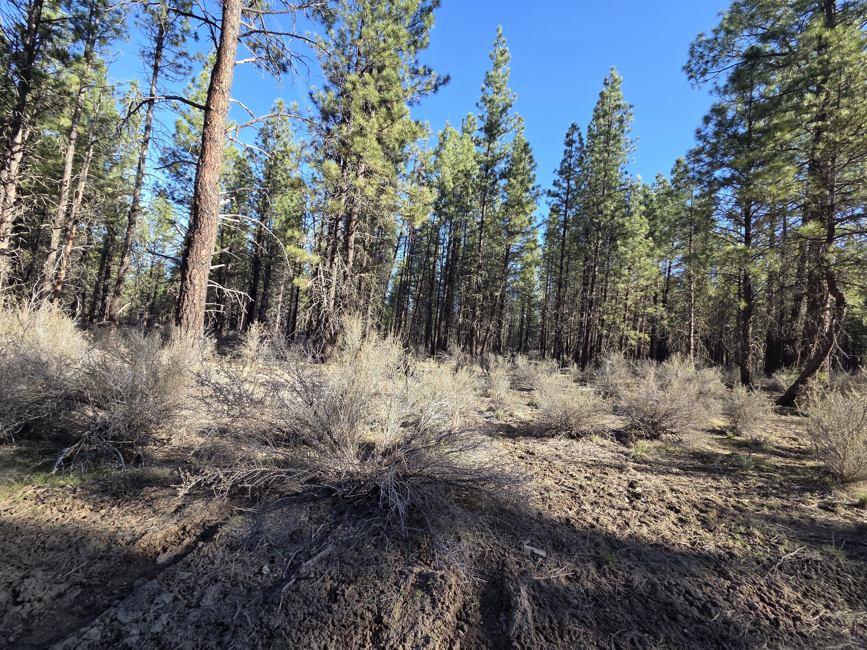 0 Grey Wolf Lane, Unit LOT 7 Chiloquin, OR 97624 - Photo 6 of 6 20260321_092531
