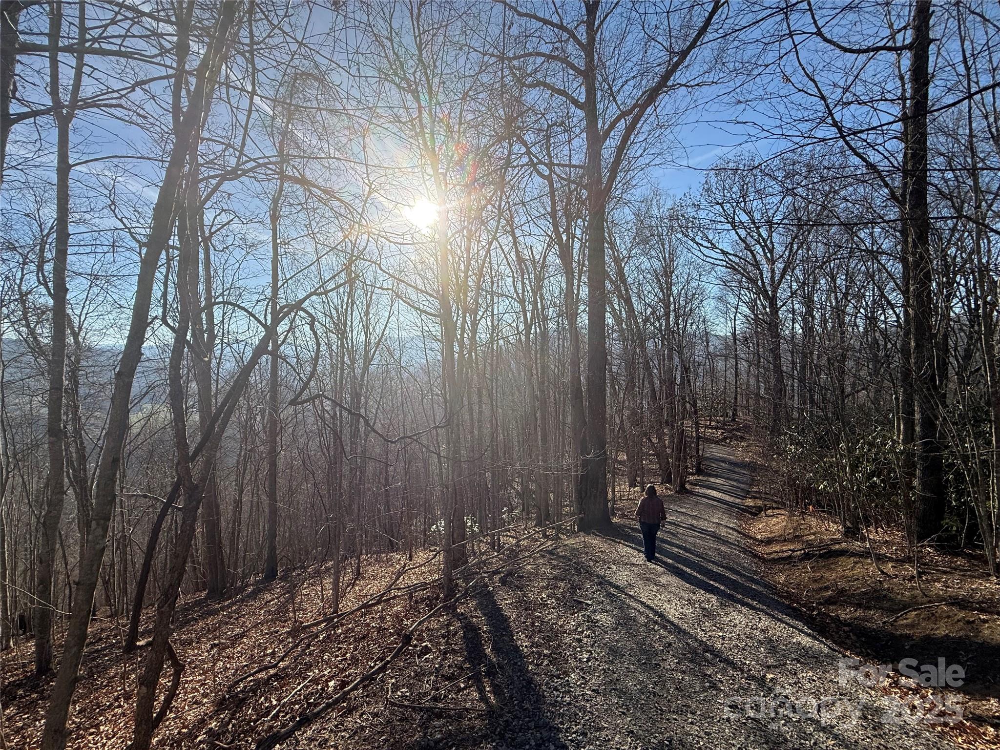 18-19 Brer Rabbit Trail, Unit 18 19 20 21 Waynesville, NC 28785 - Photo 18 of 18