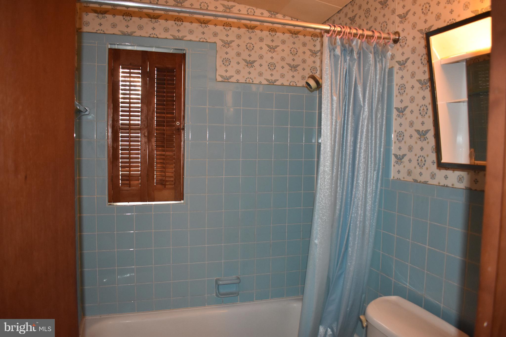 1205 3rd Road Baltimore, MD 21220 - Photo 11 of 12 a bathroom with a shower and toilet