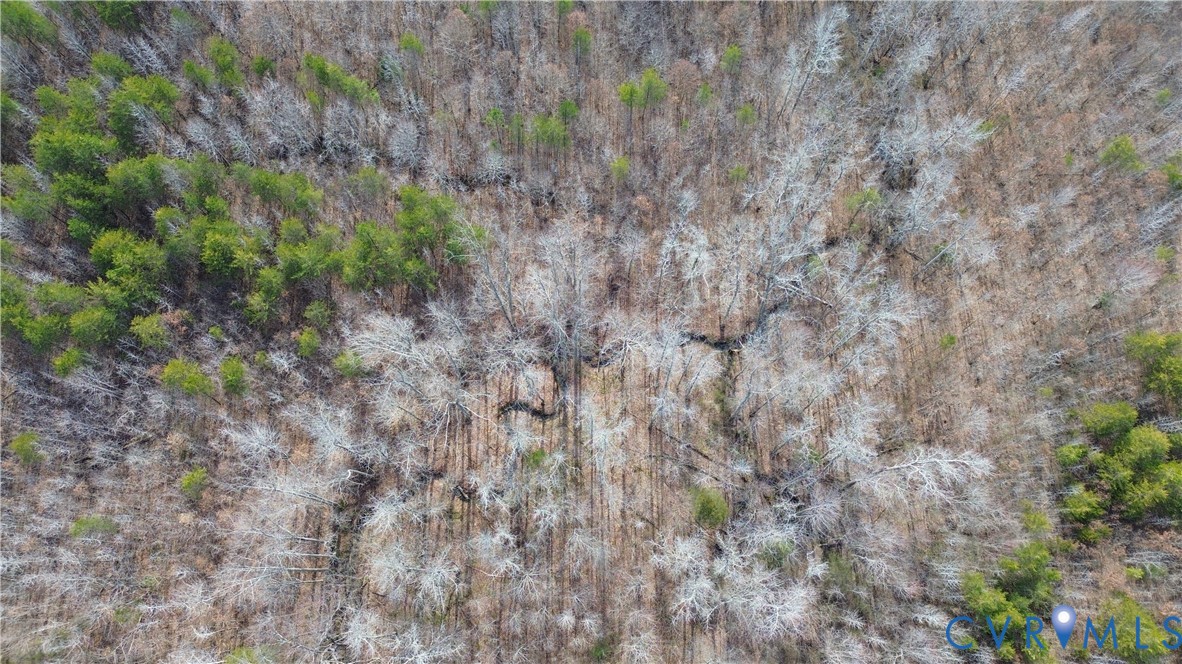 0 West Store Road Nathalie, VA 24577 - Photo 2 of 20 Gallery Image 2