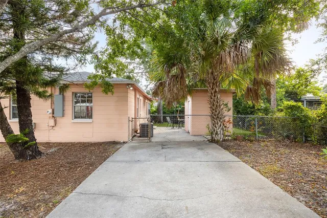 a view of a backyard with a large tree
