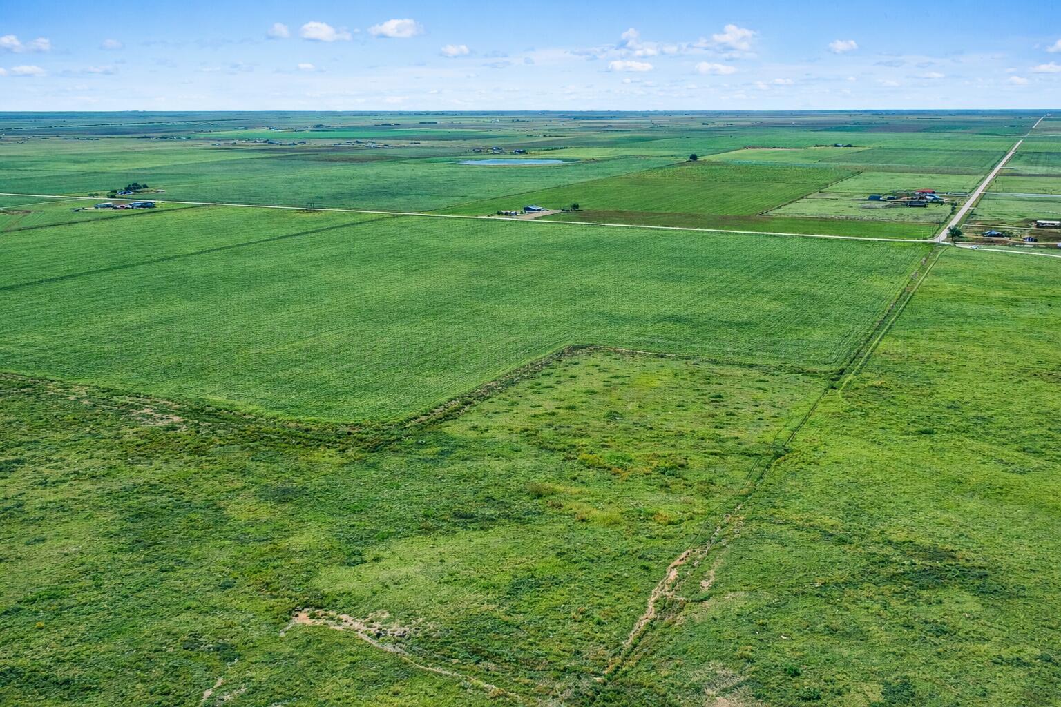 0 Hale Road Canyon, TX 79015 - Photo 4 of 4 a view of a big yard with large trees