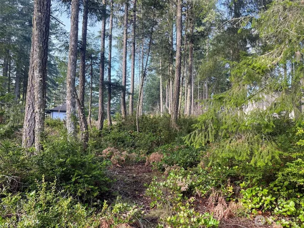 a view of a garden with plants and trees