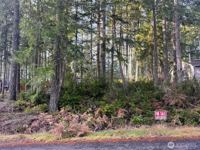 $45,000 | 40 East Paint Brush Lane, Union, WA 98592