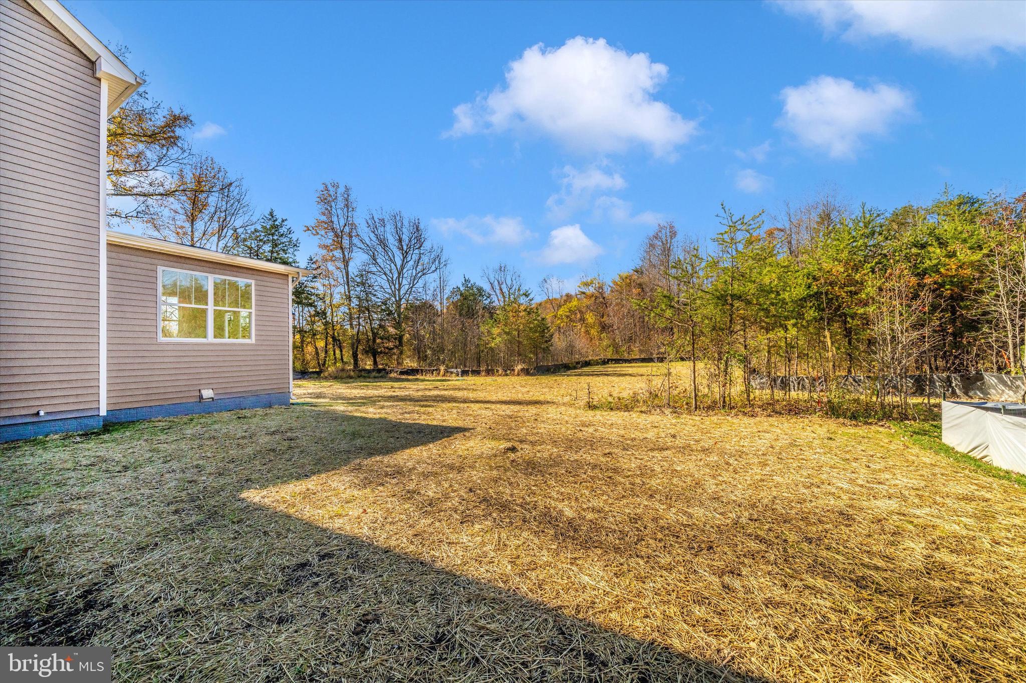 1154 Mt Zion Marlboro Road Lothian, MD 20711 - Photo 64 of 66 a view of yard with swimming pool and trees